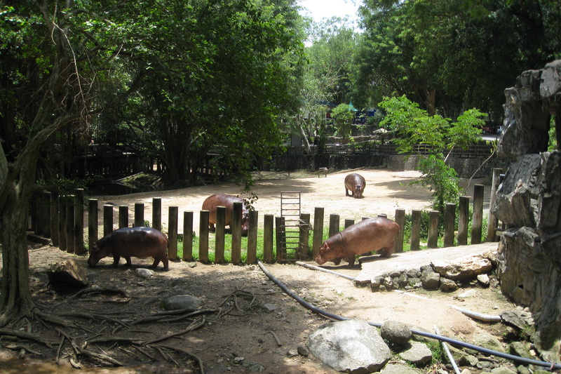 Thailand, Pattaya, Khao Kheow Open Zoo